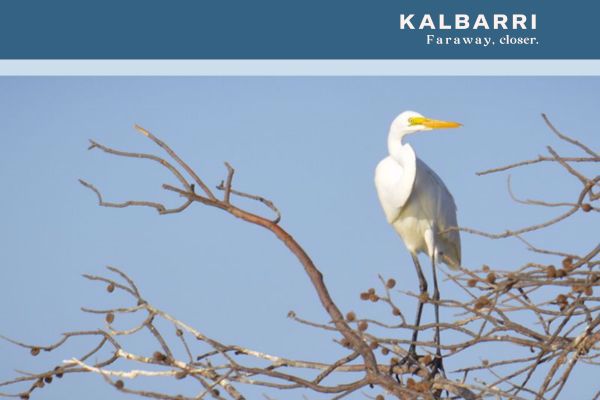Tasman Holiday Parks Kalbarri in Gascoyne — photo 5