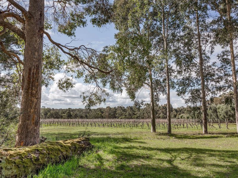 The Grove Distillery Accommodation - Image 3