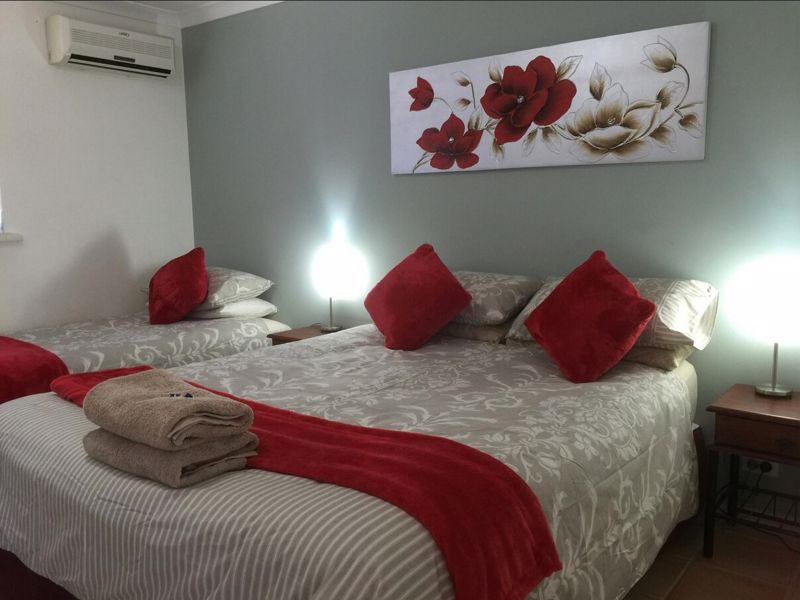 The Nosh & Nod - Image 4