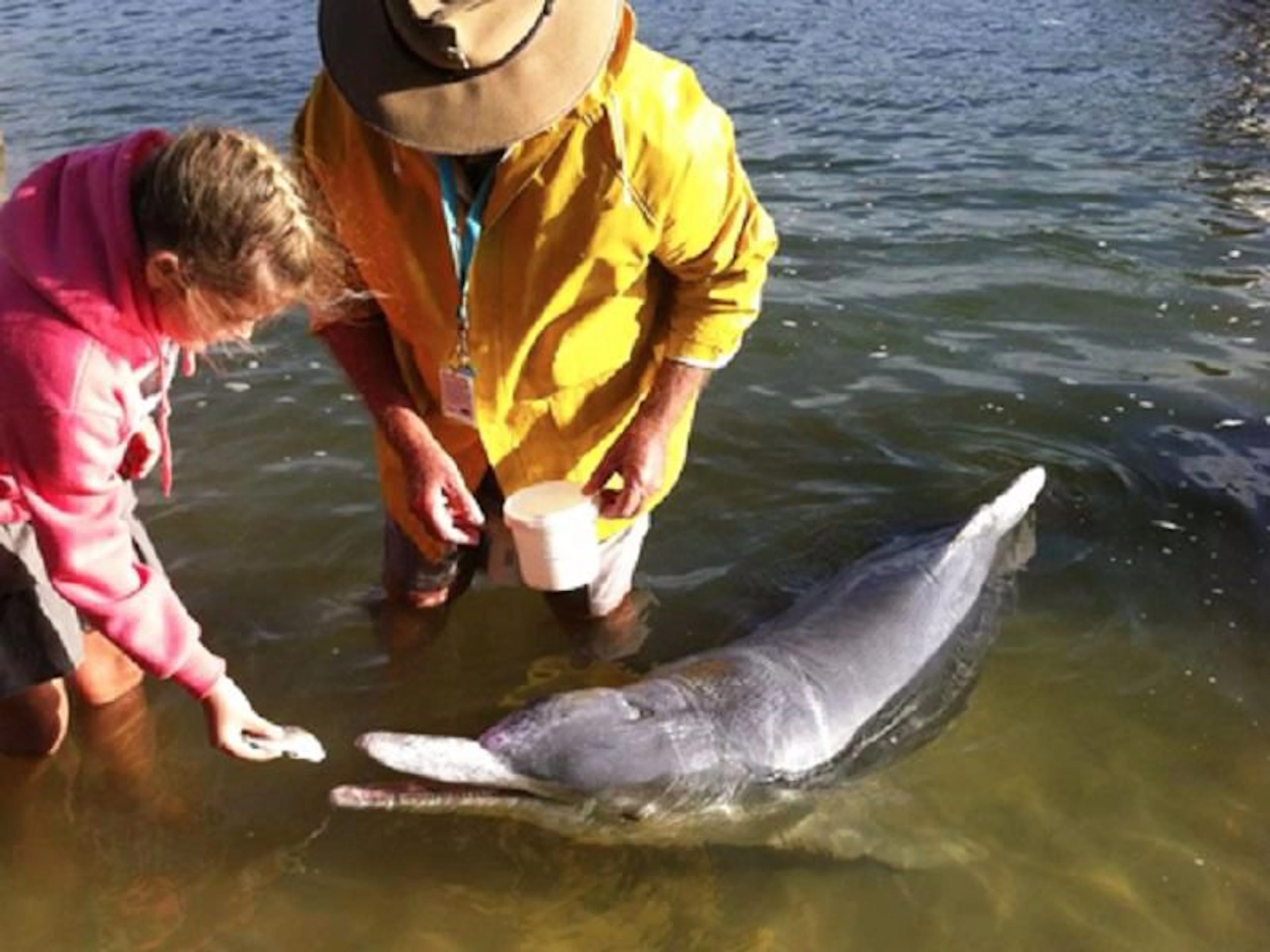 Tin Can Bay Tourist Park