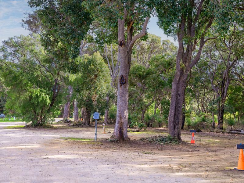 Trackside Campground Augusta - Image 2