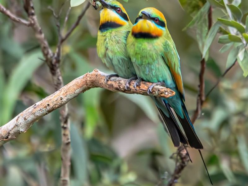 Travellers Rest 1770 Campground - Image 3