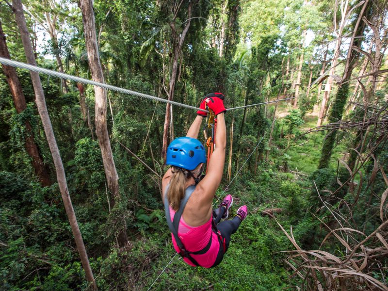 Treetop Challenge - Main image