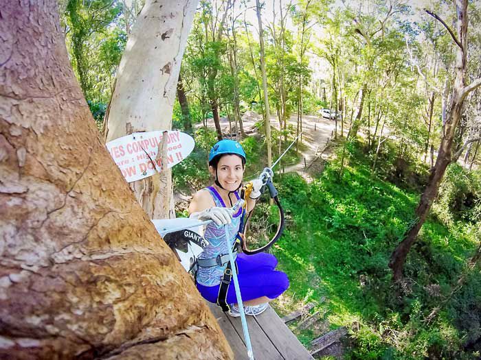 Treetop Challenge - Image 5