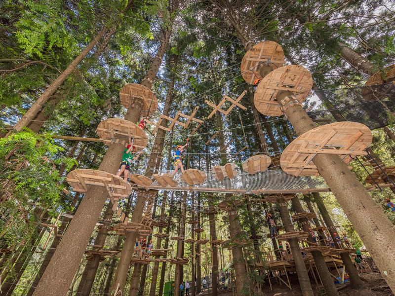 Treetops Adventure Canberra - Image 3