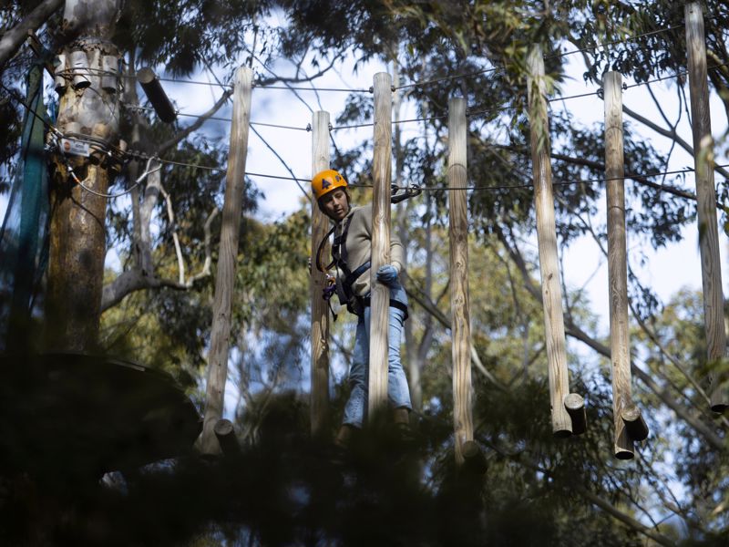 Treetops Adventure Central Coast - Image 2