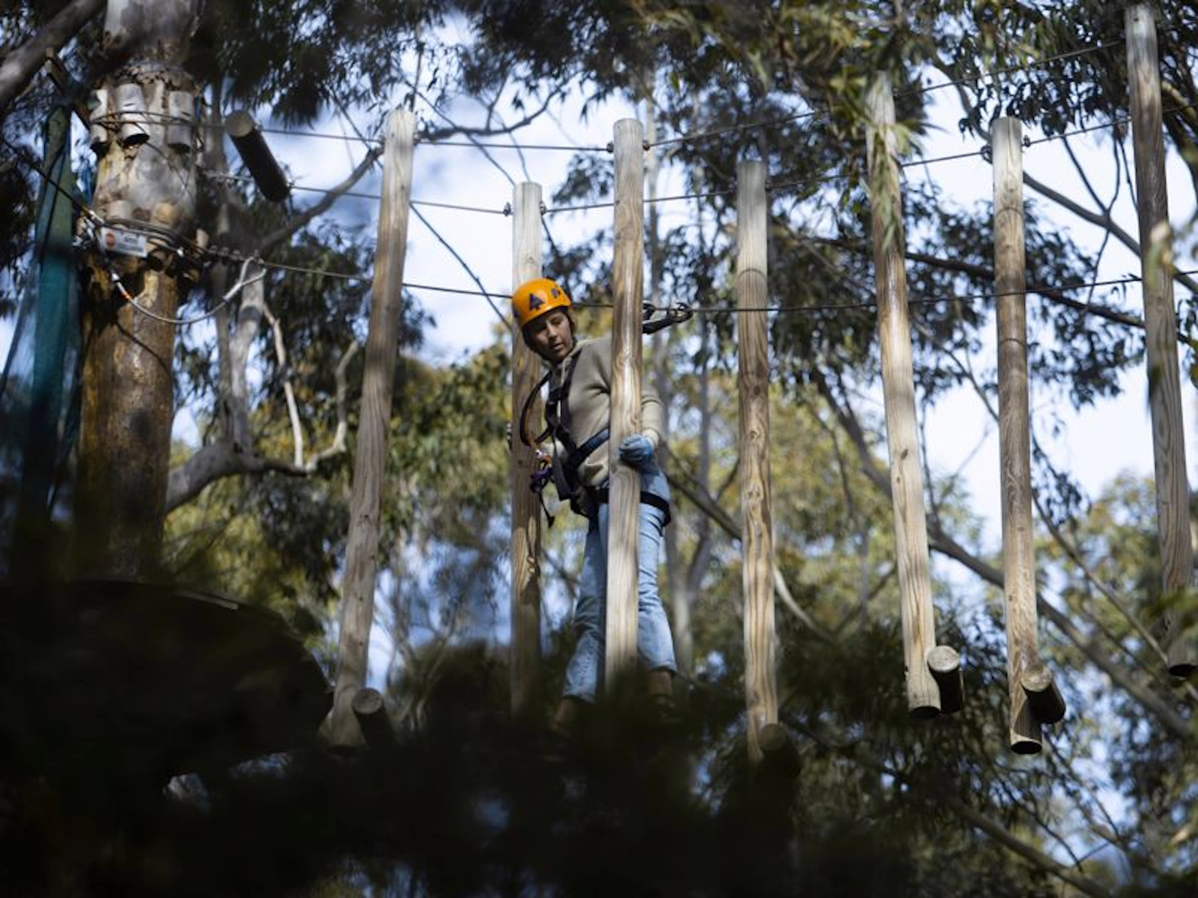 Treetops Adventure Central Coast - Image 2