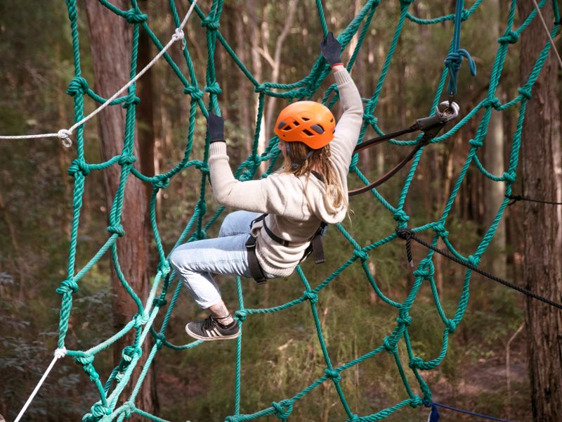 Treetops Adventure Central Coast - Image 3