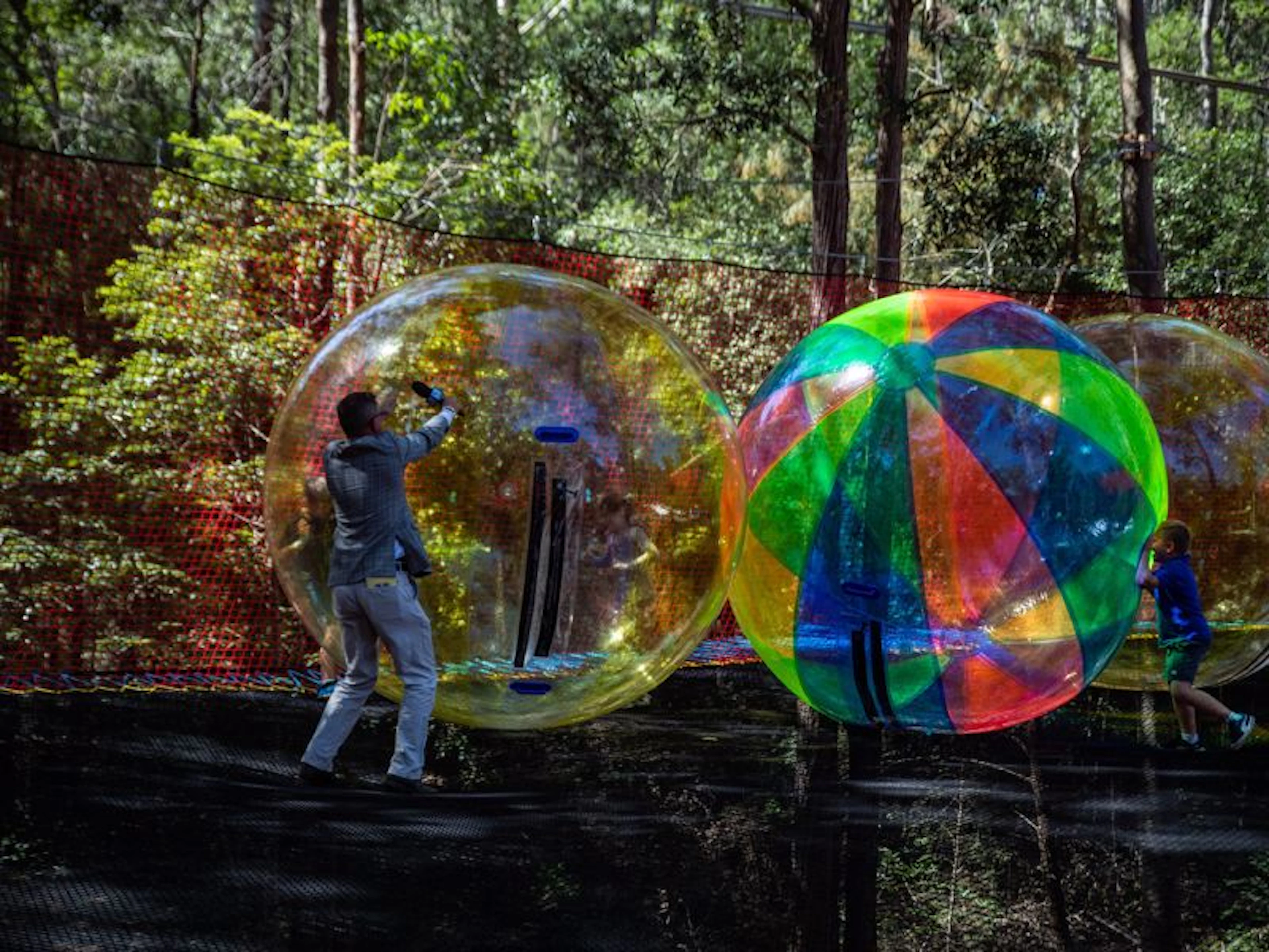 Treetops Adventure Central Coast - Image 5
