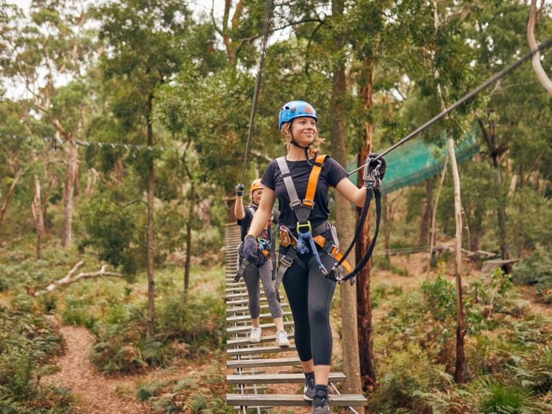 Treetops Adventure Yeodene