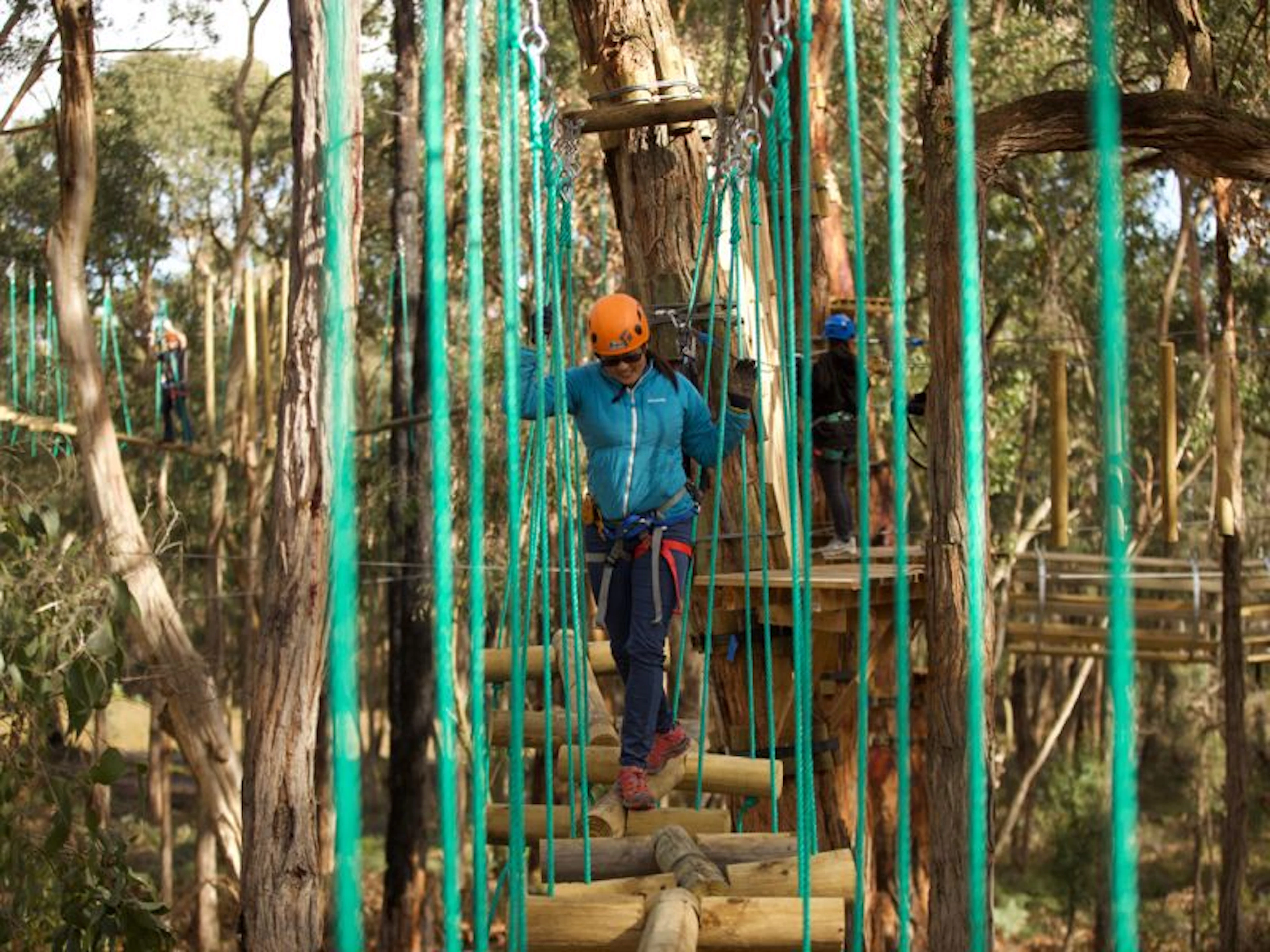 Treetops Adventure Yeodene - Image 2