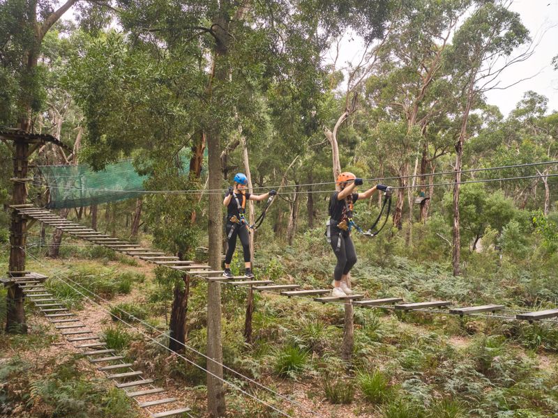 Treetops Adventure Yeodene - Image 3