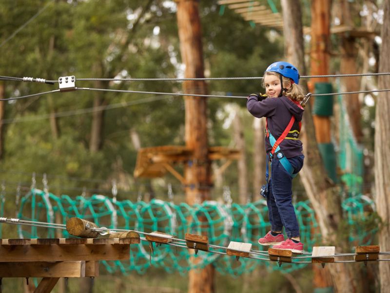 Treetops Adventure Yeodene - Image 4