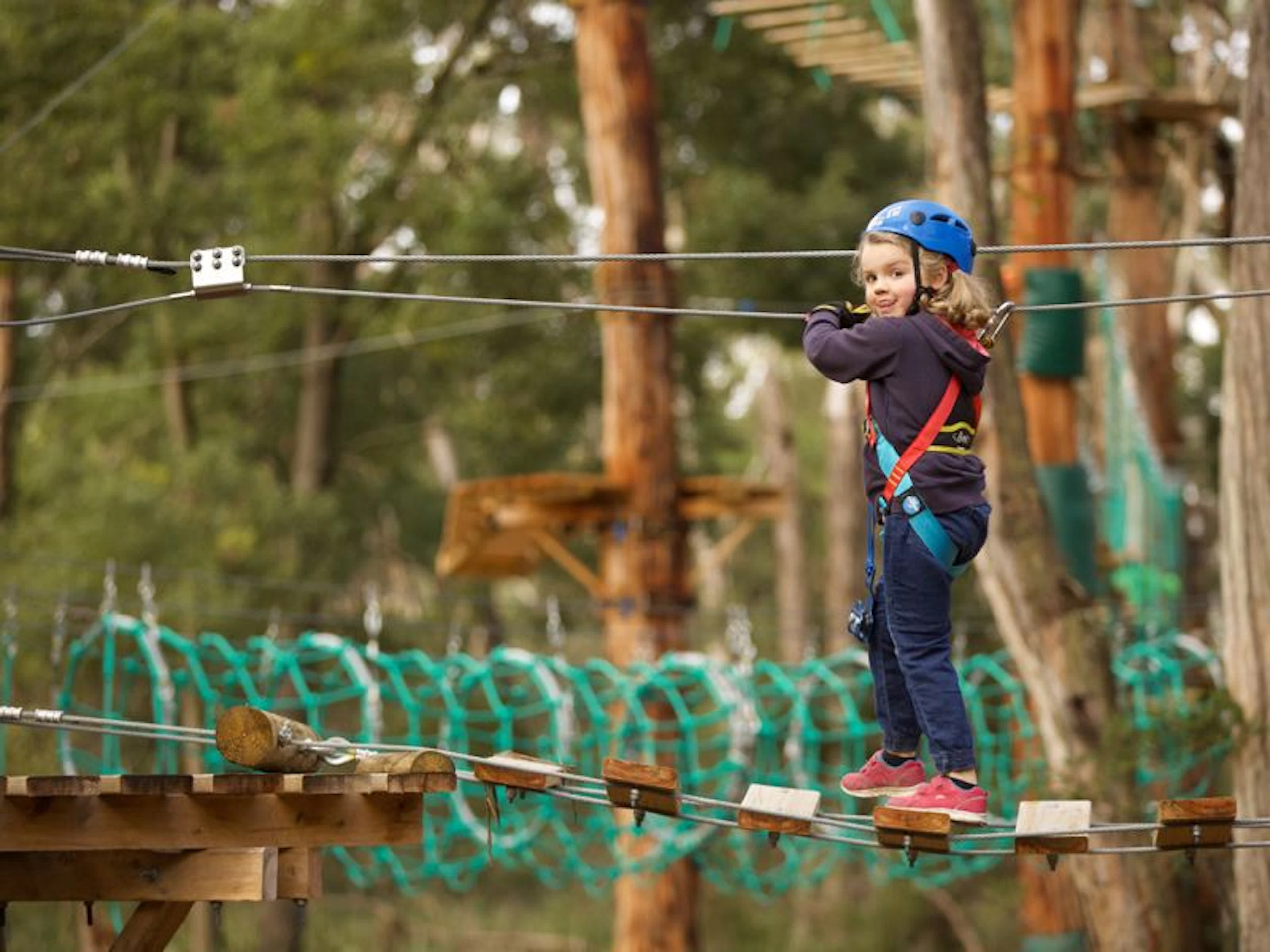 Treetops Adventure Yeodene - Image 4