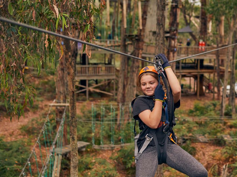 Treetops Adventure Yeodene - Image 5