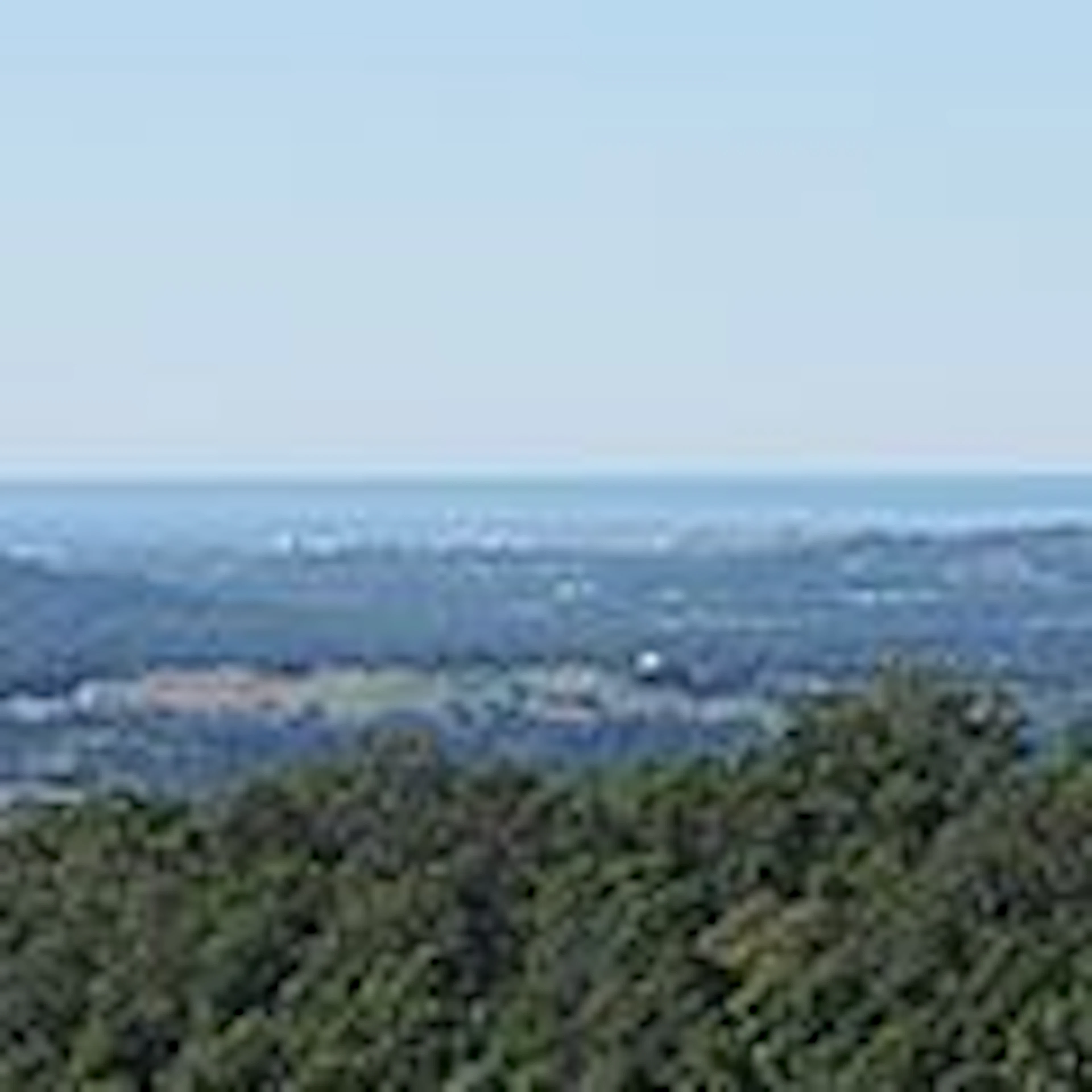 Treetops Seaview - Image 2