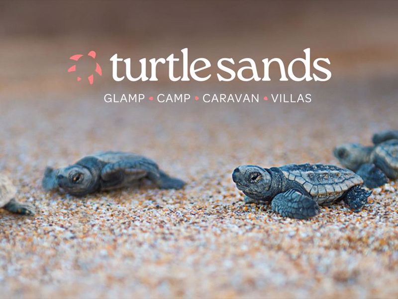 Turtle Sands - Image 5