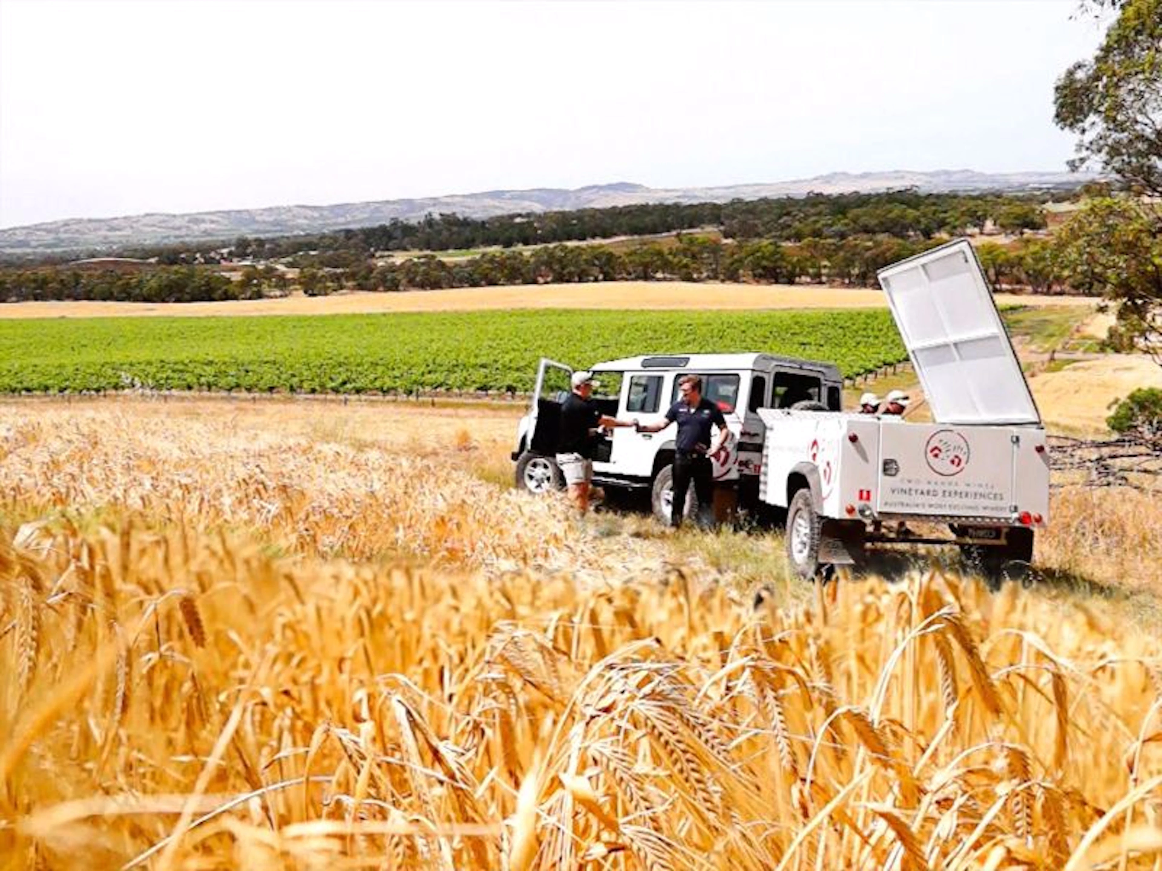 Two Hands Wines - Image 2