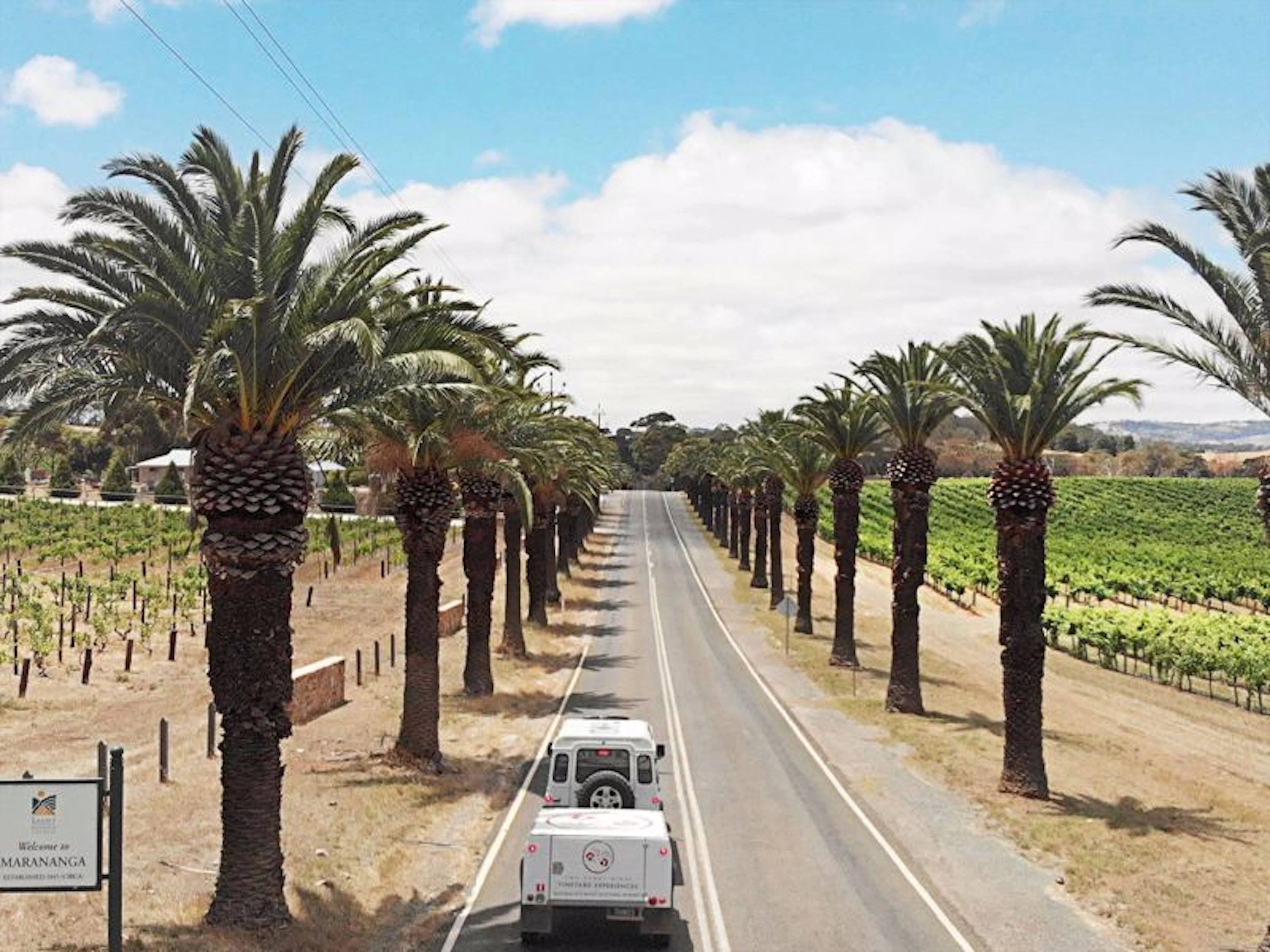 Two Hands Wines - Image 5