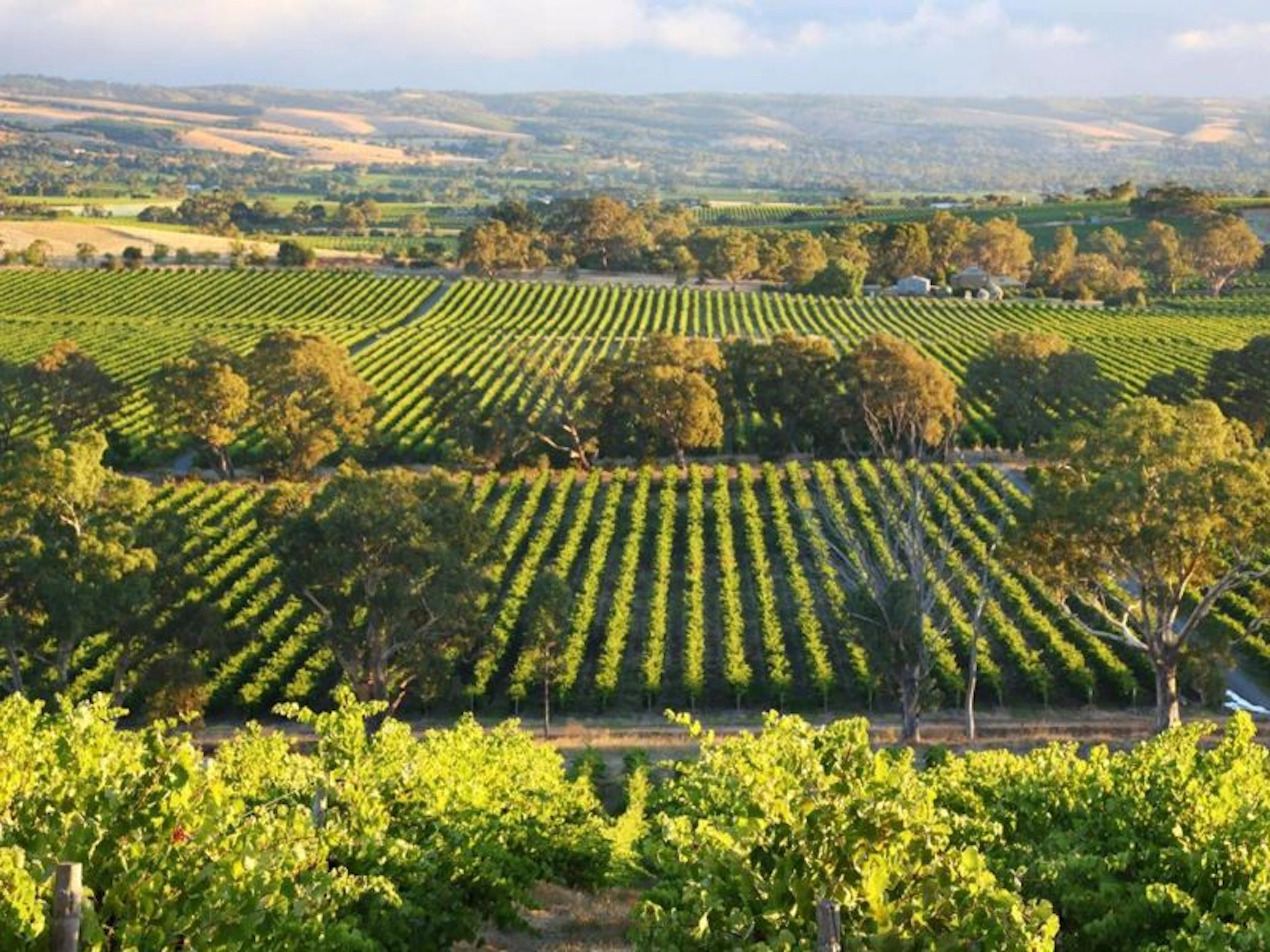 Uncorkedtours - Image 3