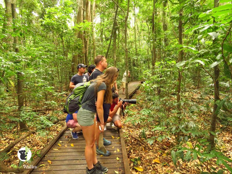 Vision Walks - Eco Tours - Main image