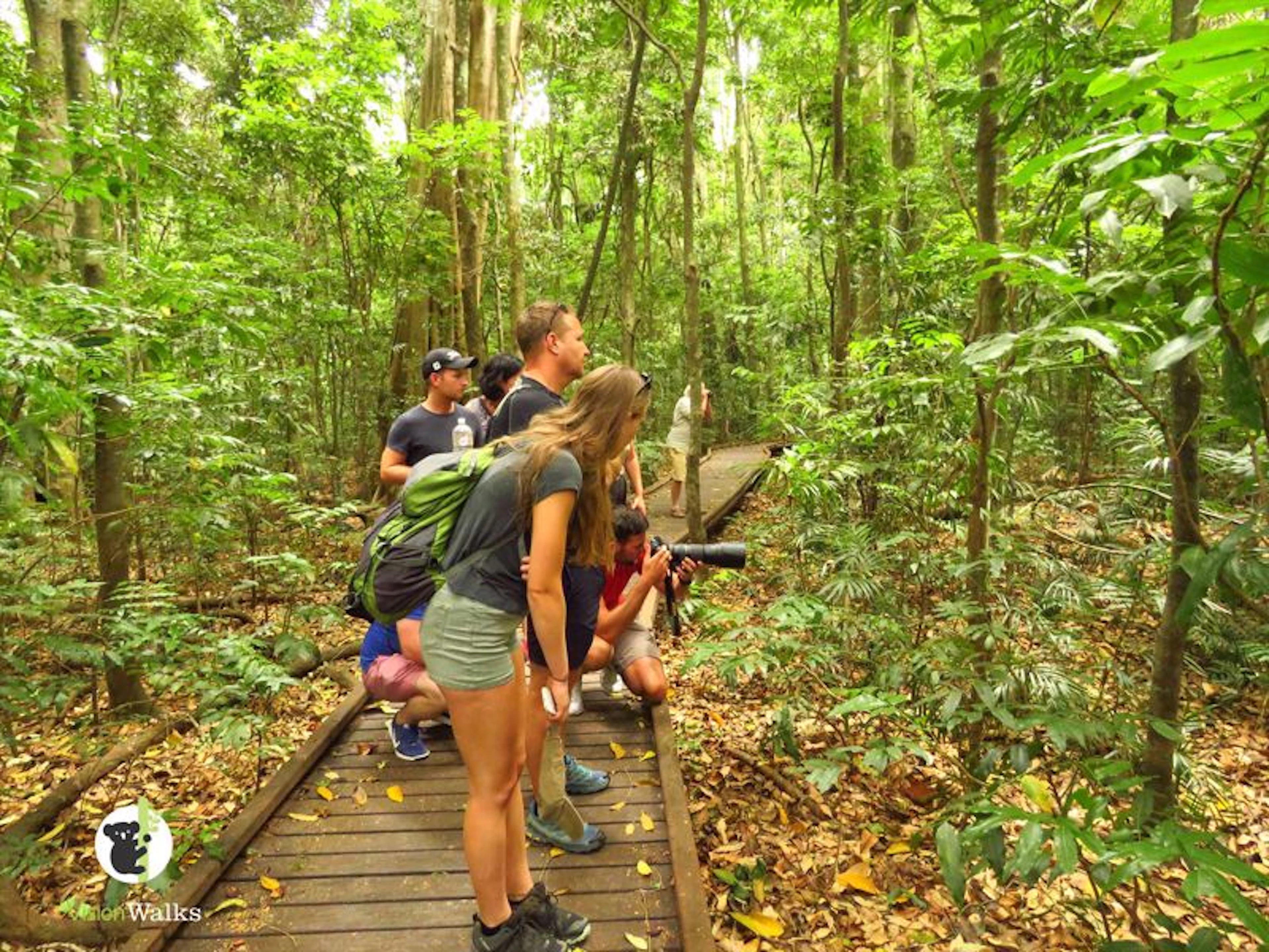 Vision Walks - Eco Tours - Main image