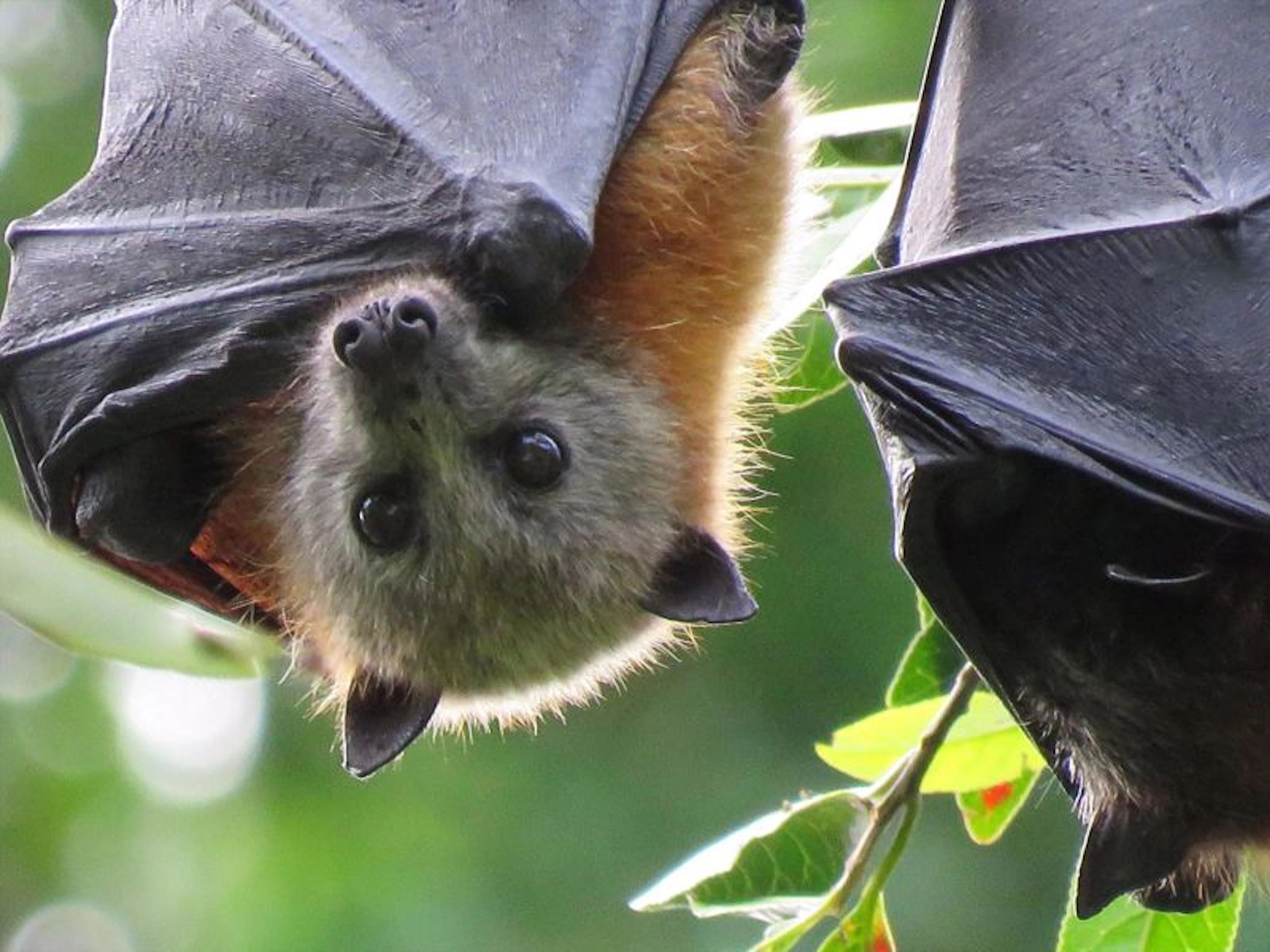 Vision Walks - Eco Tours - Image 3