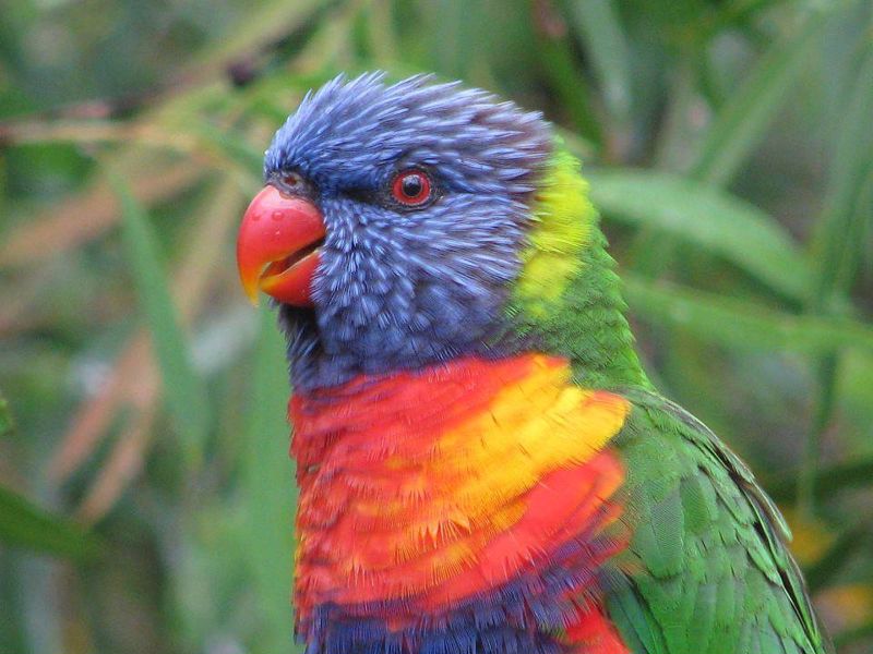 Vision Walks - Eco Tours - Image 4