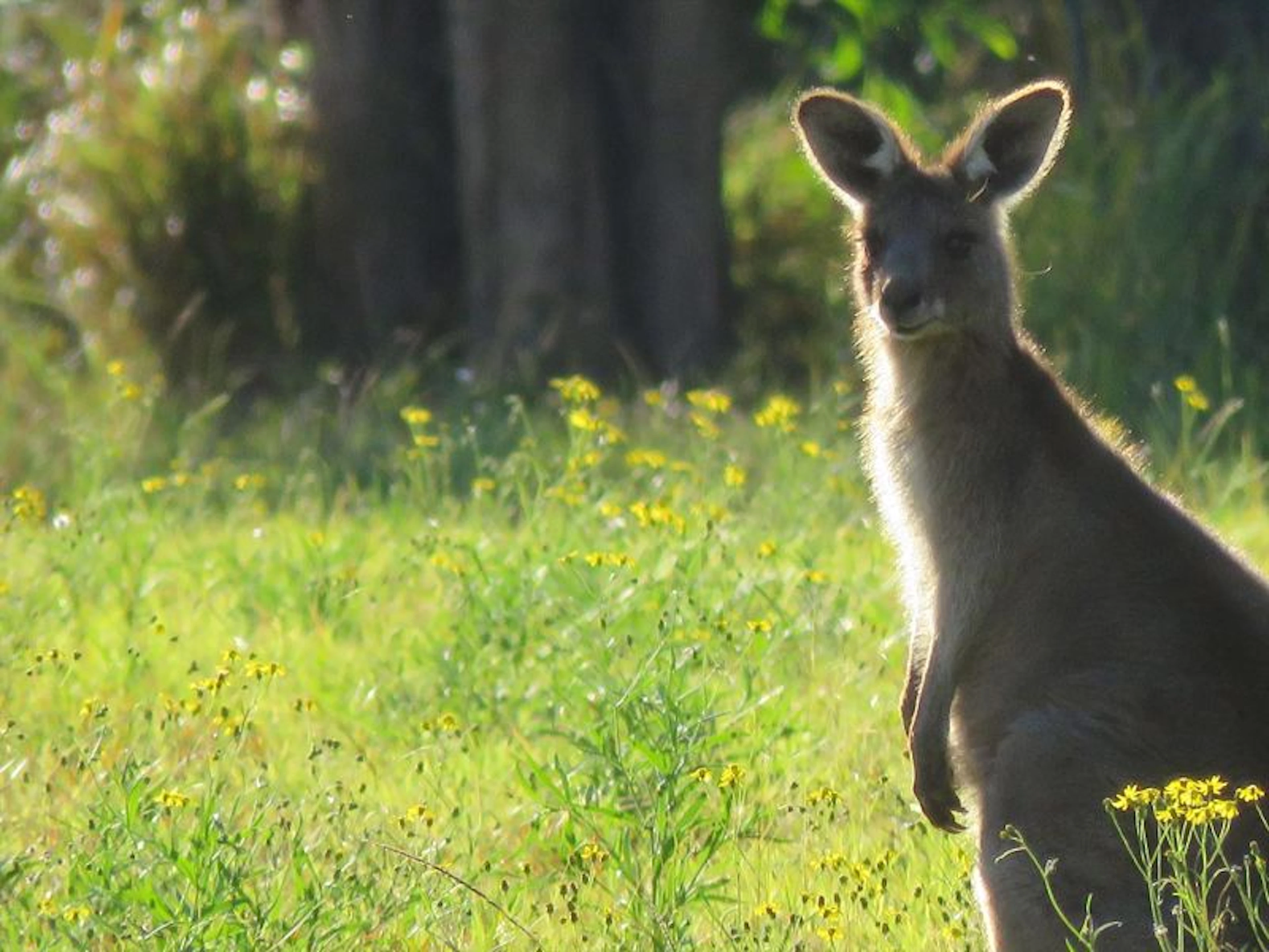 Vision Walks - Eco Tours - Image 5