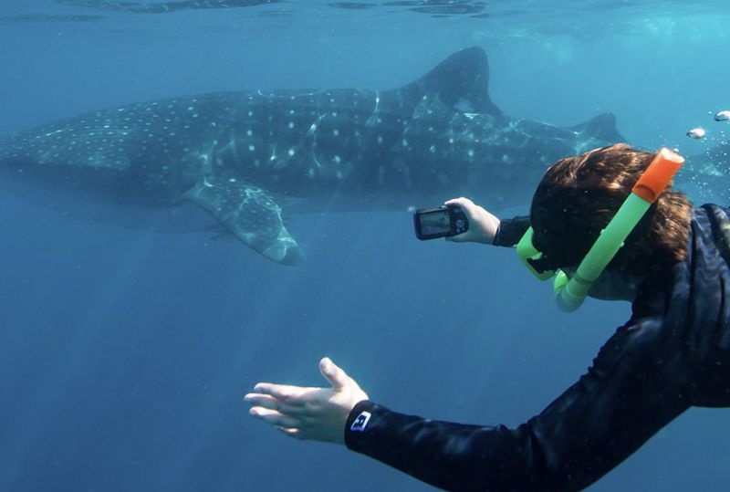 WA NT Tours Pty Ltd - Image 4