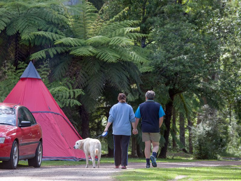 Warburton Bridge Reserve Camping Area
