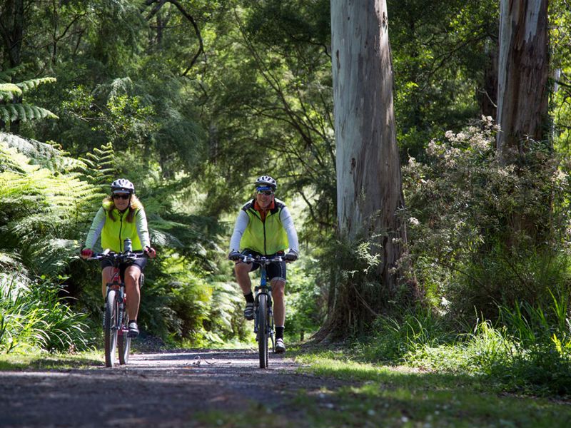 Warburton Bridge Reserve Camping Area - Image 2