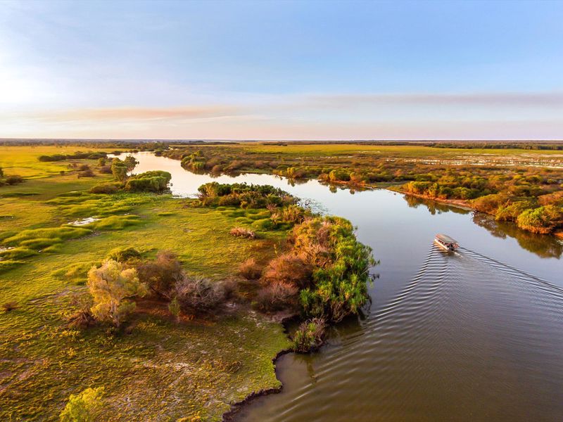 Wetland Cruises - Main image