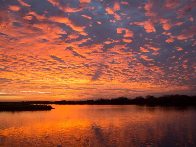 Wetland Cruises - Image 3
