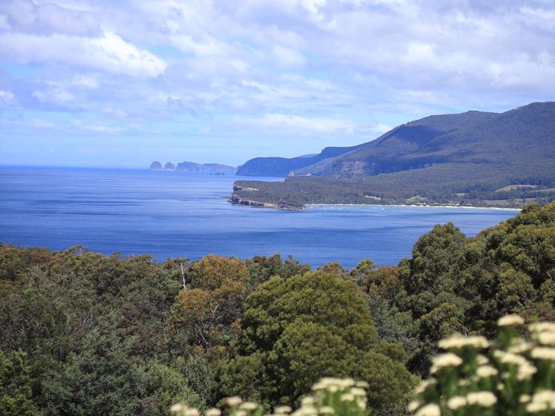 Wild Escapes Tasmania