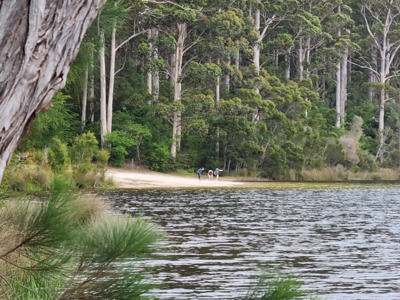 WILD Ones Forest School & Adventures