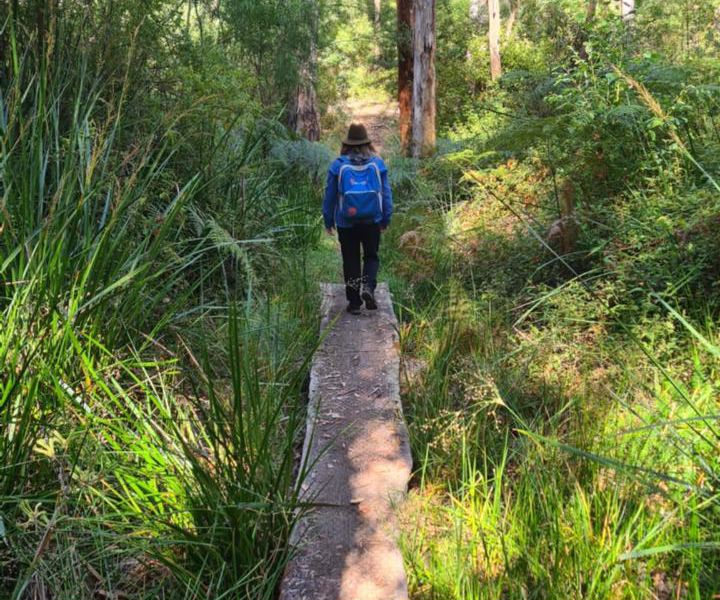 WILD Ones Forest School & Adventures - Image 2