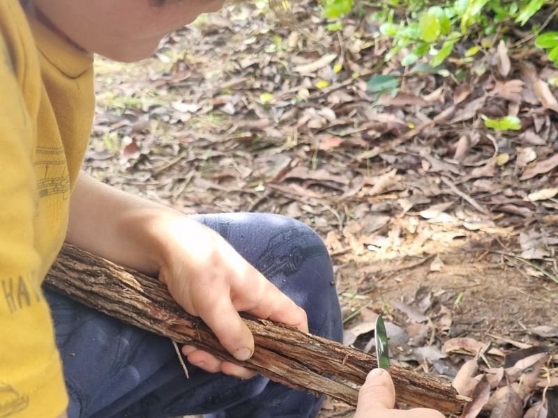 WILD Ones Forest School & Adventures - Image 3