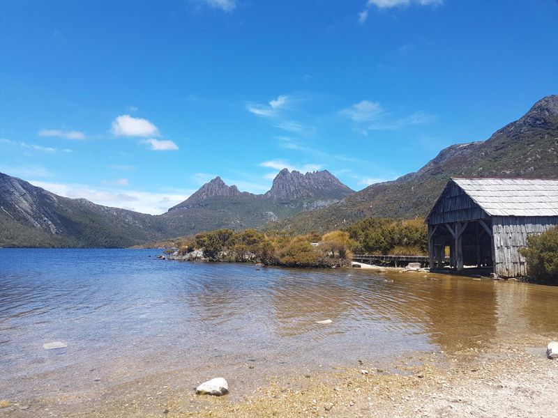Wild Tasmania Tours