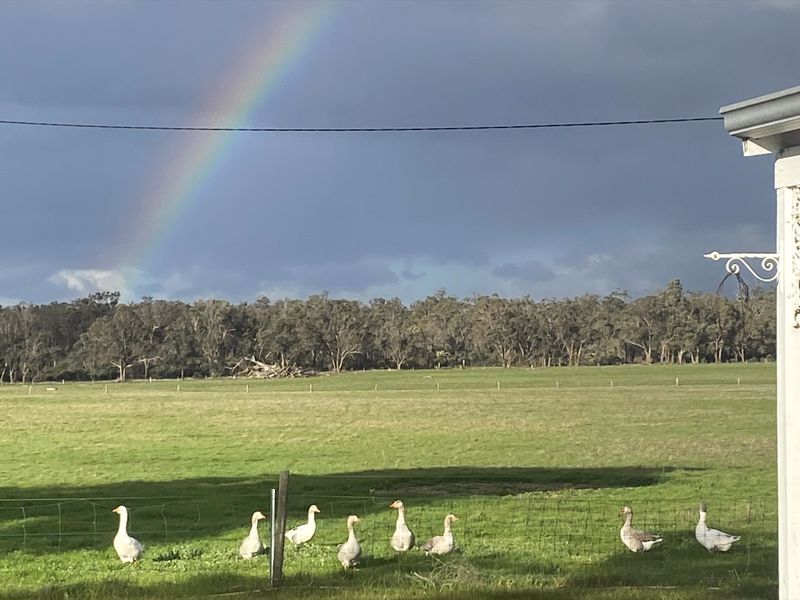 Wilga Farm Stay - Image 4