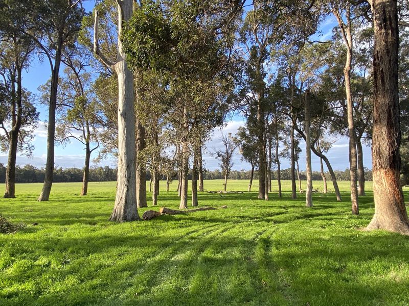 Wilga Farm Stay - Image 5