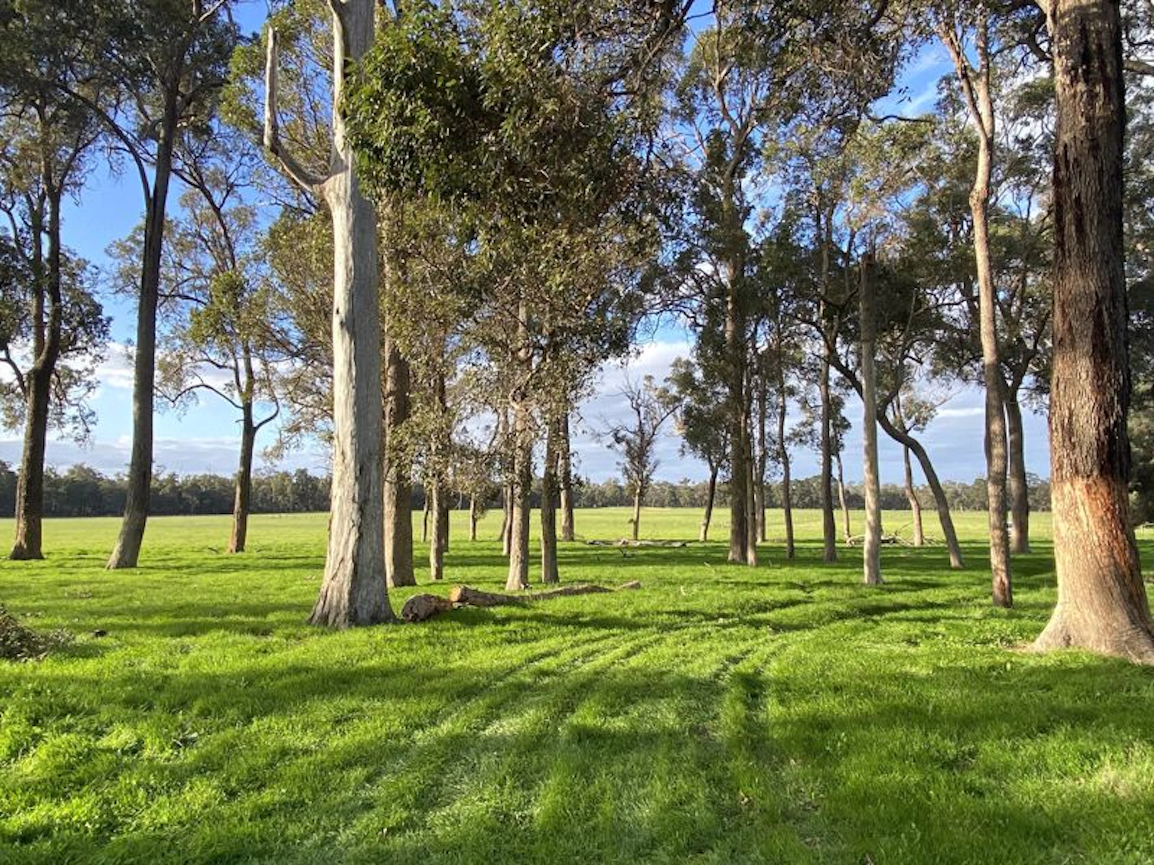 Wilga Farm Stay - Image 5