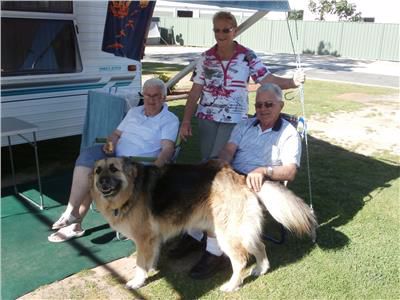 Wodonga Caravan and Cabin Park - Image 2