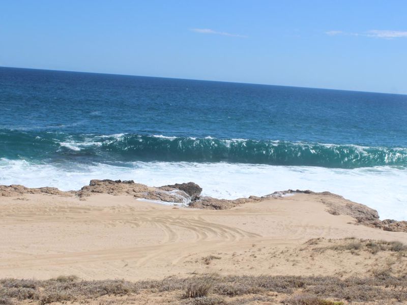 Wooramulla Eco Cultural Journeys - Image 4