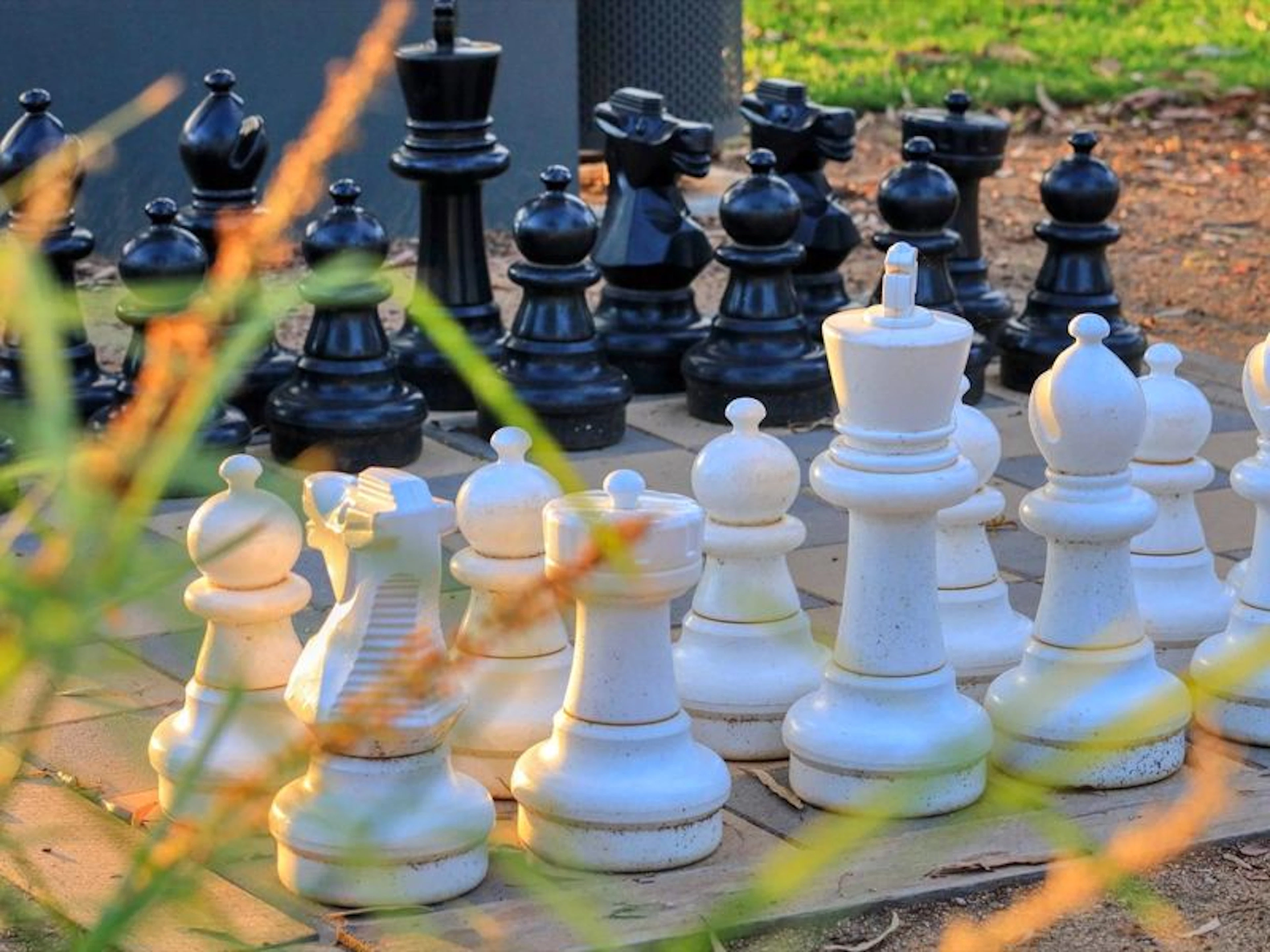 Yarrawonga Holiday Park - Image 3