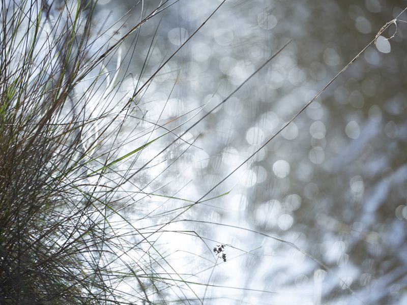 Yering Gorge Cottages by The Eastern Golf Club - Image 3