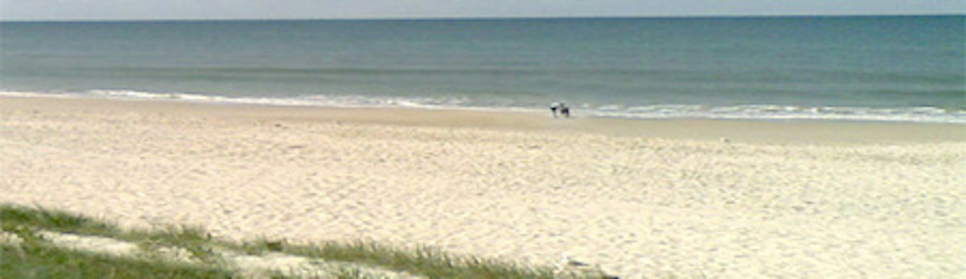 Bribie Island landscape