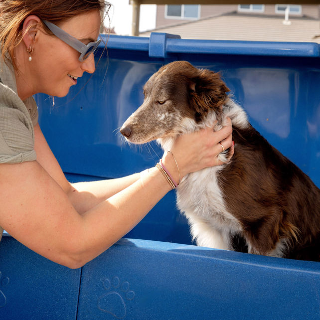 BIG4 Ballarat Goldfields Holiday Park - Image 4