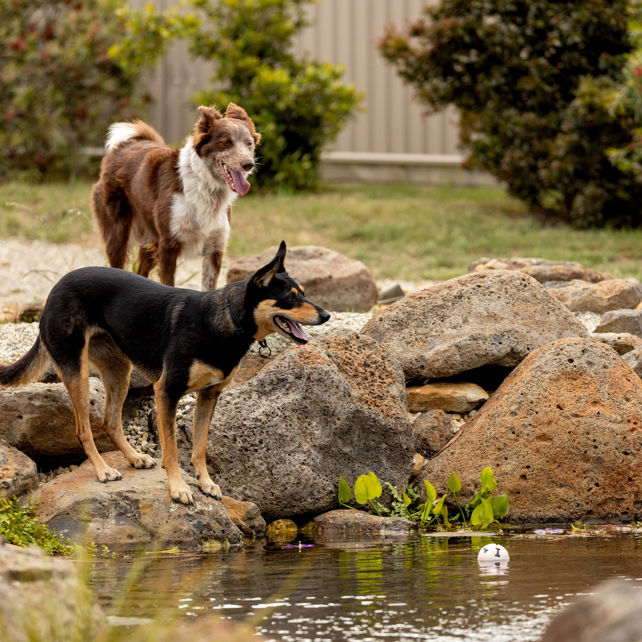 BIG4 Ballarat Goldfields Holiday Park - Image 5