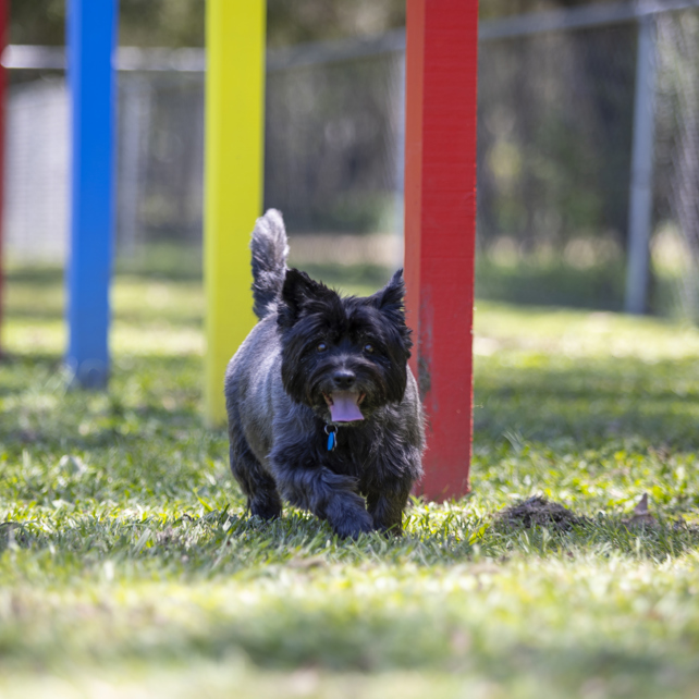 BIG4 Gold Coast Holiday Park and Motel - Image 3